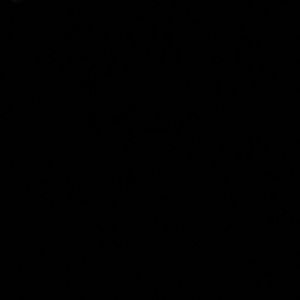 Meet your Posher, Kristie